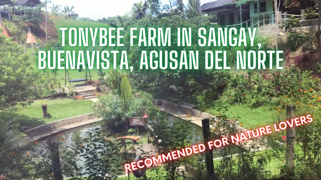 TonyBee Farm in Sangay, Buenavista, Agusan del Norte, Philippines | Recommended for Nature Lovers