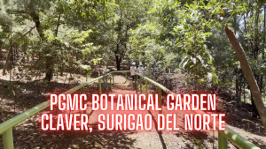 Platinum Group Metals Corporation (PGMC) Botanical Garden in Claver, Surigao del Norte